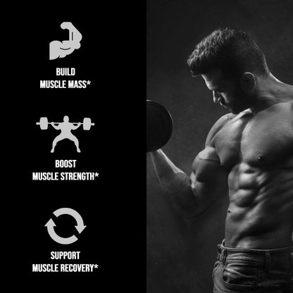 Micronized Creatine Monohydrate 400 G - Renee Lane Company