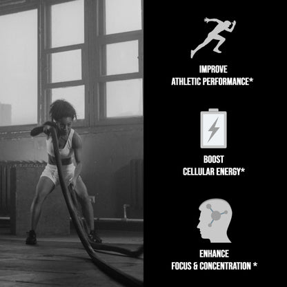 Micronized Creatine Monohydrate 400 G - Renee Lane Company