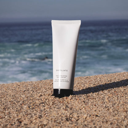 Mint Exfoliating Facial Polish - Renee Lane Company