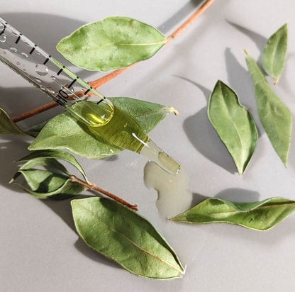 Moisturizing | Face Oil | Skin Care - Renee Lane Company