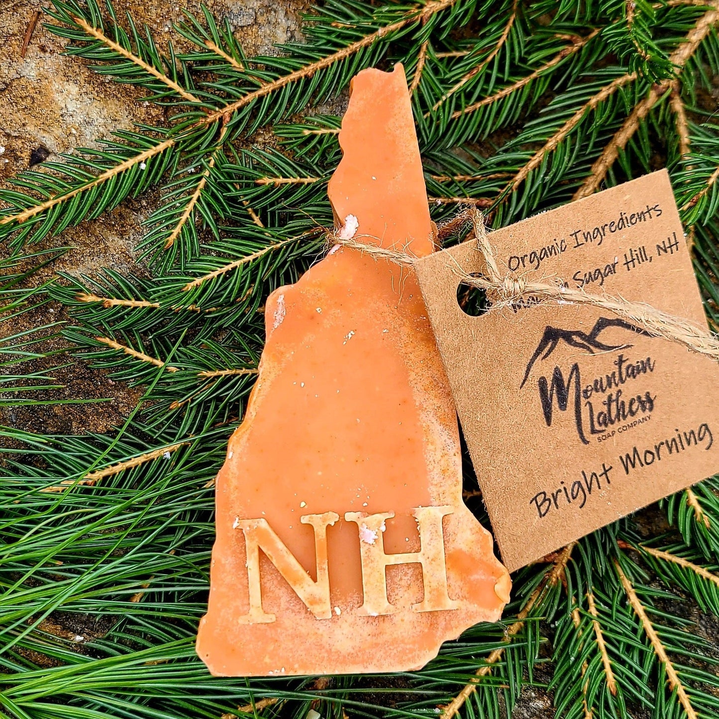 Molded Soap Bars - Renee Lane Company