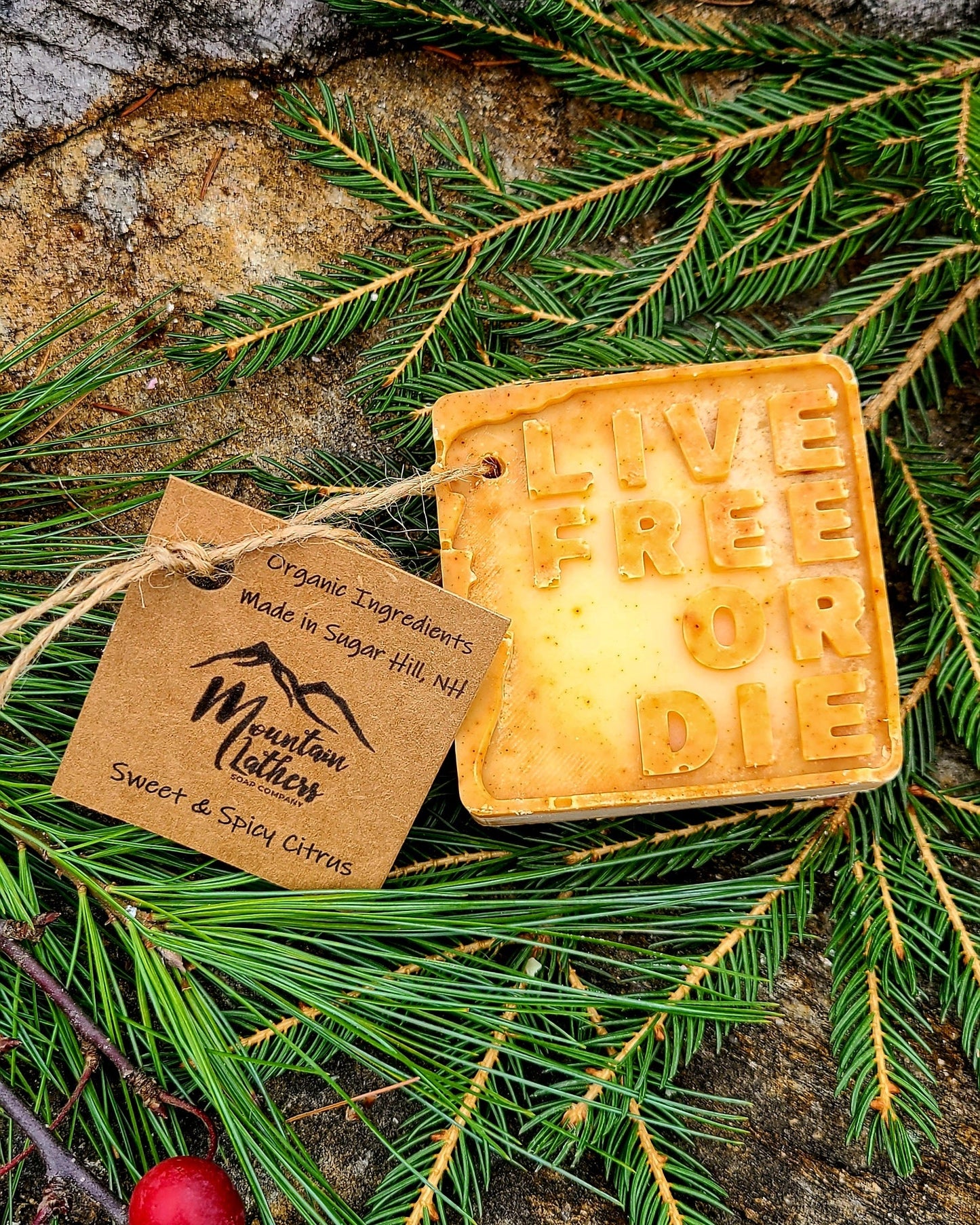 Molded Soap Bars - Renee Lane Company