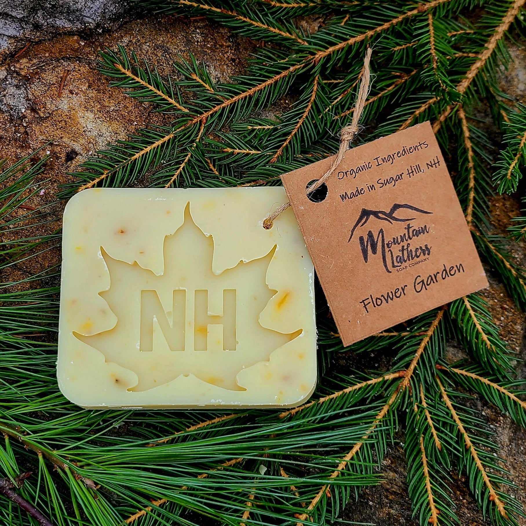 Molded Soap Bars - Renee Lane Company