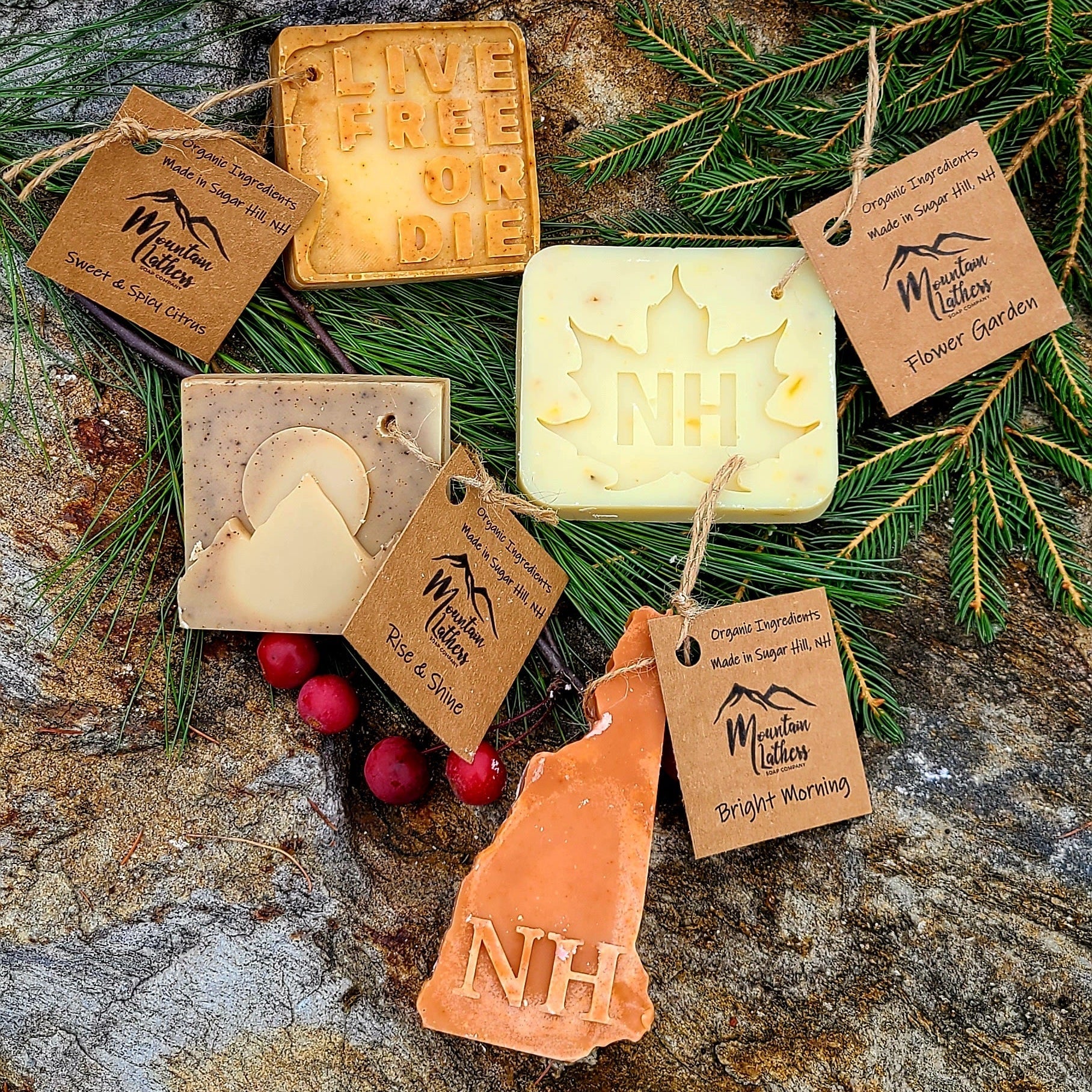 Molded Soap Bars - Renee Lane Company