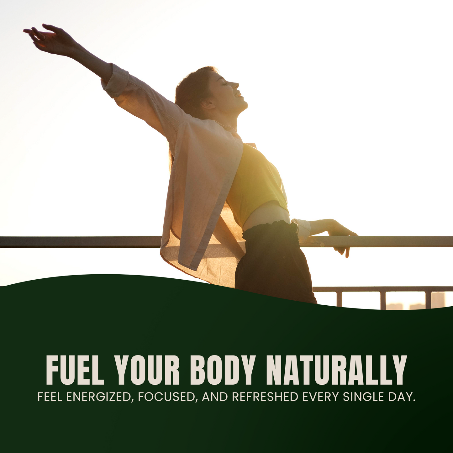 Moringa Leaf Capsules - Renee Lane Company