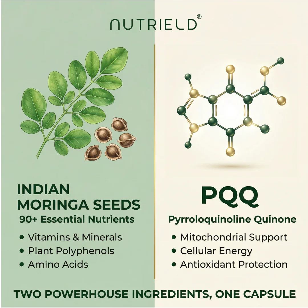 Moringa+PQQ - Renee Lane Company