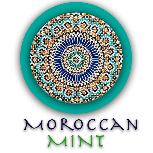 Moroccan Mint Compressed Towels - Renee Lane Company