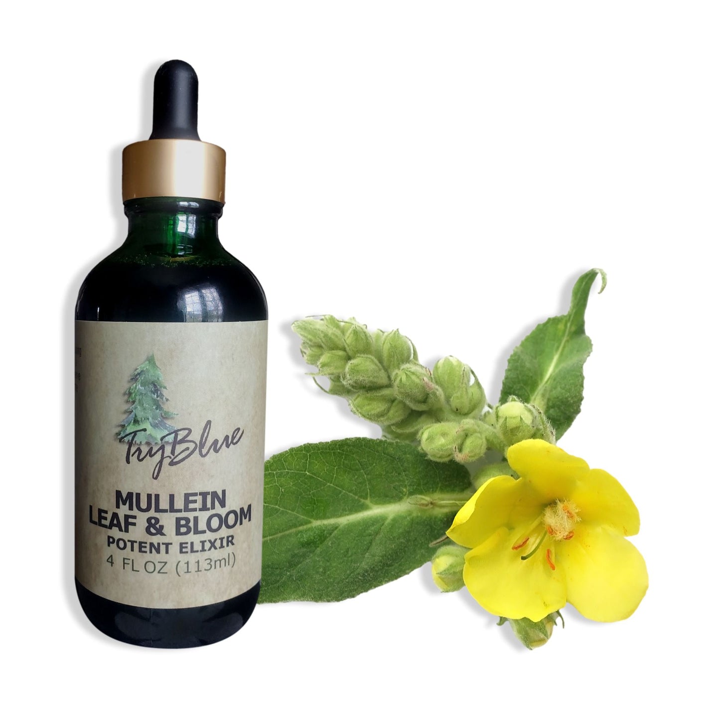 Mullein Leaf & Bloom Elixir - Renee Lane Company