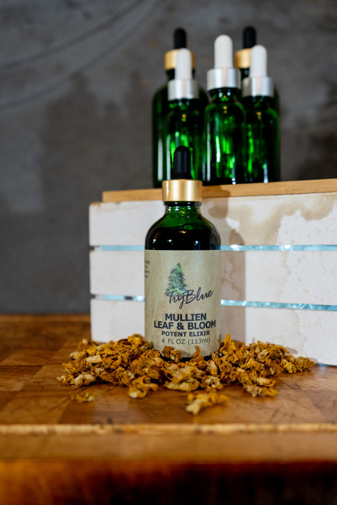 Mullein Leaf & Bloom Elixir - Renee Lane Company