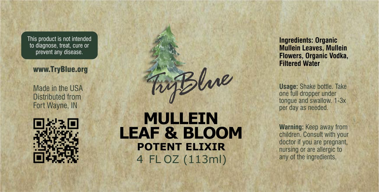 Mullein Leaf & Bloom Elixir - Renee Lane Company