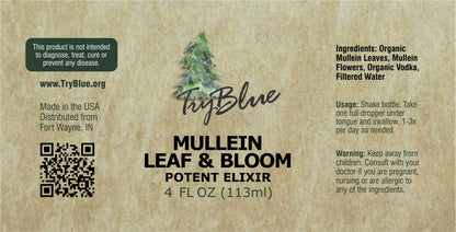 Mullein Leaf & Bloom Elixir - Renee Lane Company
