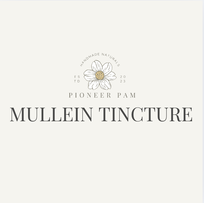 Mullein Tincture: Respiratory + Immune System Support - Renee Lane Company