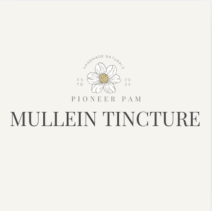 Mullein Tincture: Respiratory + Immune System Support - Renee Lane Company