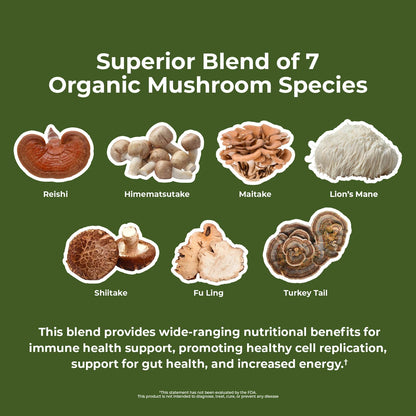 Mushroom 7 blend graphic showing organic mushroom species icons