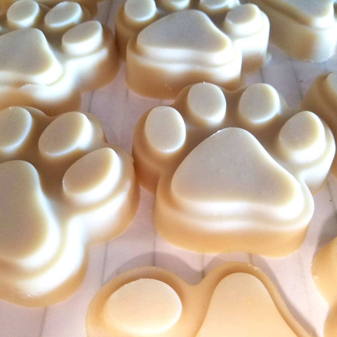 Natural Goat Milk Soap | Dog Shampoo Bar | Big Paw - Renee Lane Company