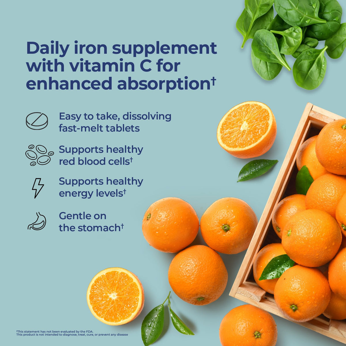 Nature's Lab Iron Plus Vitamin C Fast Melt Tablets - 120 Tablets - Renee Lane Company