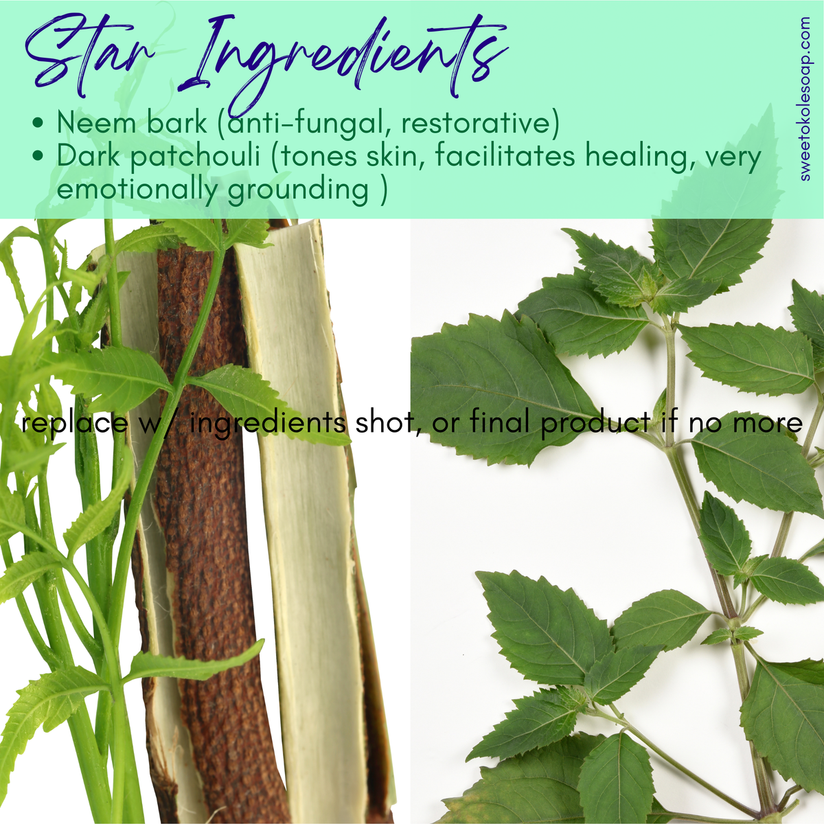 Neem Bark & Patchouli Soap ingredients graphic with neem bark pieces and fresh green leaves