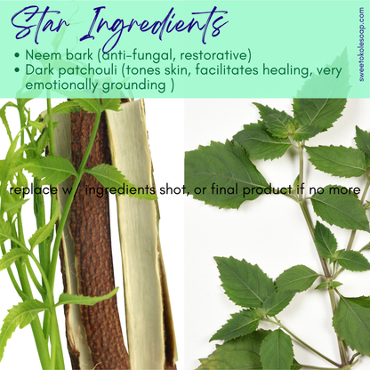 Neem Bark & Patchouli Soap ingredients graphic with neem bark pieces and fresh green leaves
