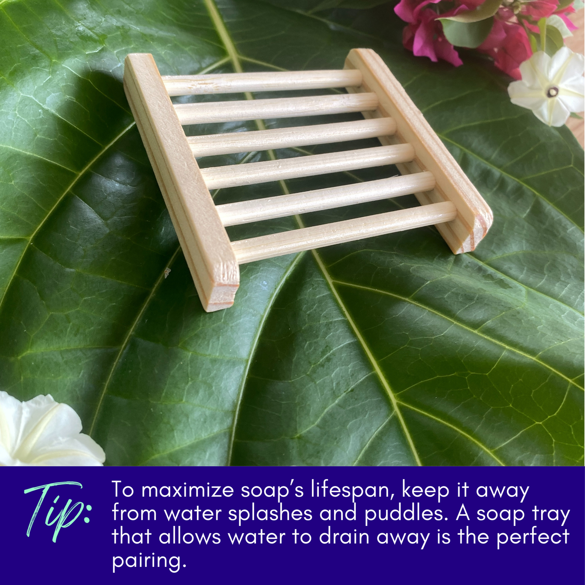 Neem Bark & Patchouli Soap bar with nearby wooden soap dish and green leaves