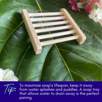 Neem Bark & Patchouli Soap bar with nearby wooden soap dish and green leaves