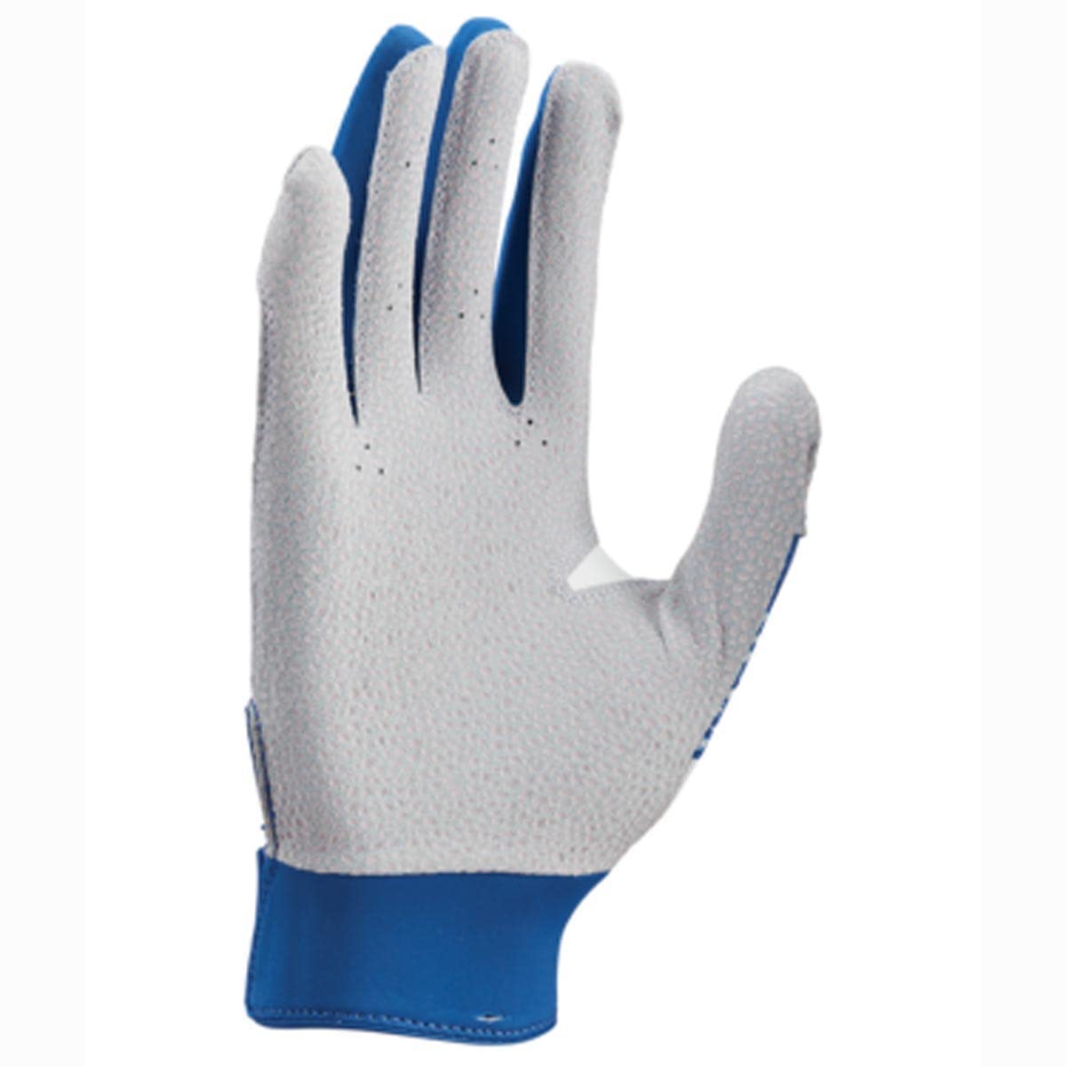 Nike Adult Hyperdiamond Select 2.0 Batting Gloves Royal | Silver Large - Renee Lane Company