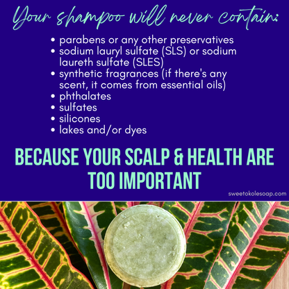 Non-Toxic Shampoo Bar - Rosemary, Mint & Moringa - Renee Lane Company