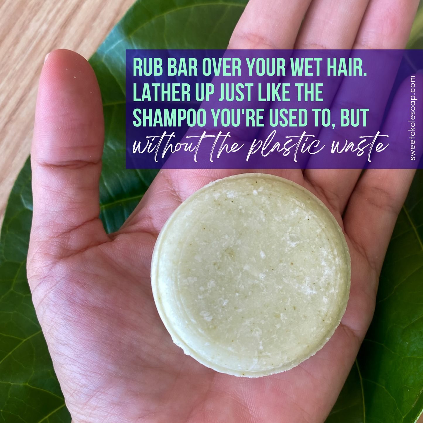 Non-Toxic Shampoo Bar - Rosemary, Mint & Moringa - Renee Lane Company