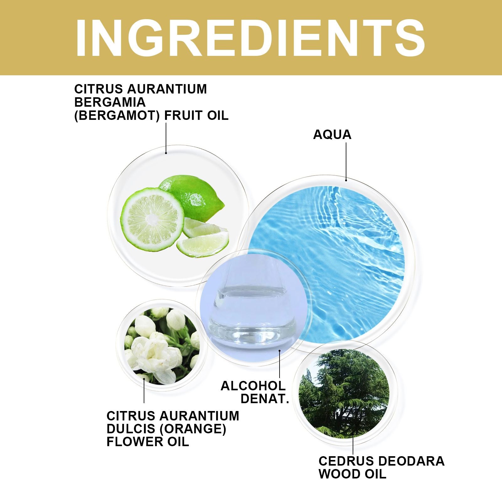 North moon Fragrance, Fresh Stay Fragrance Deodorizing Odor Lasting Niche Light Fragrance Couples Dating Atmosphere Perfume - Renee Lane Company