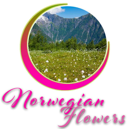 Norwegian Flowers compressed towel logo with circular mountain and meadow graphic