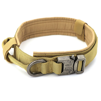 Light green fabric dog collar with metal clasp buckle and adjustable strap