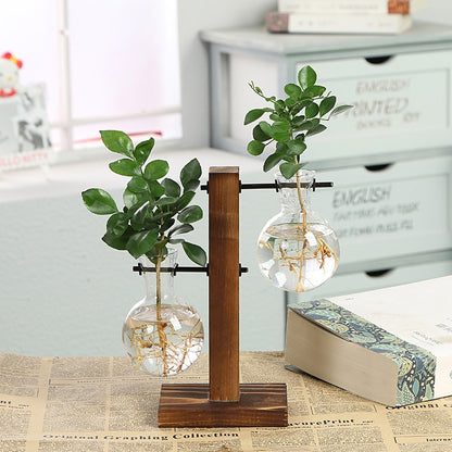 Hydroponic transparent glass plant vases with wooden stand, clear bulbs, and green leaves