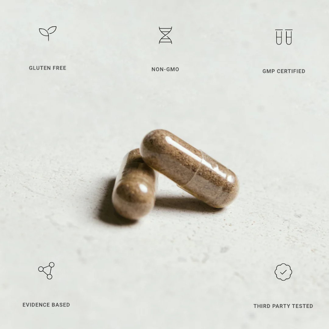 Organ+ - Renee Lane Company