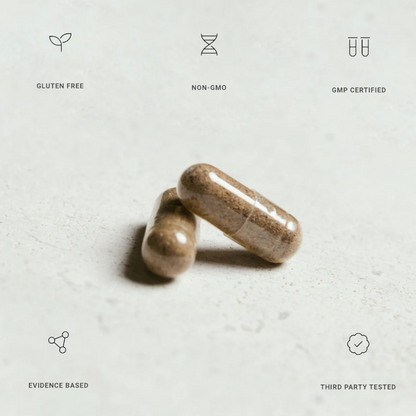 Organ+ - Renee Lane Company