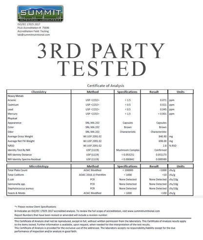 Organic Adaptogenic Mushroom Powder+ - Renee Lane Company