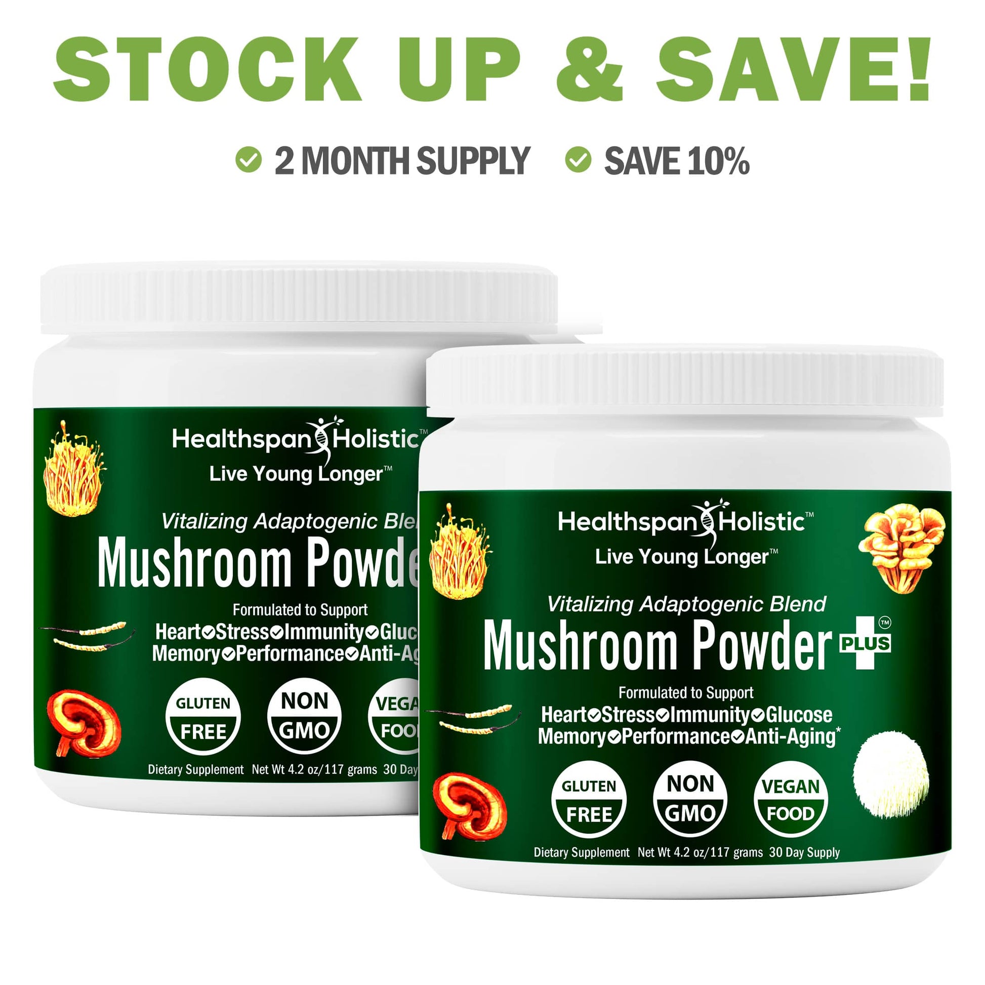 Organic Adaptogenic Mushroom Powder+ - Renee Lane Company