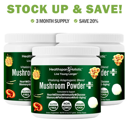 Organic Adaptogenic Mushroom Powder+ - Renee Lane Company