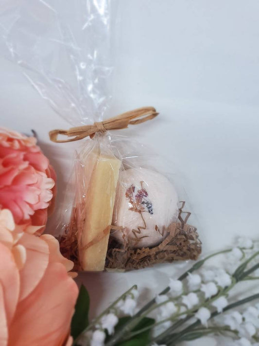 Organic Mini Spa Gift Bundle | All Natural Bath Bomb | Handmade Luxury Soap Bar - Renee Lane Company