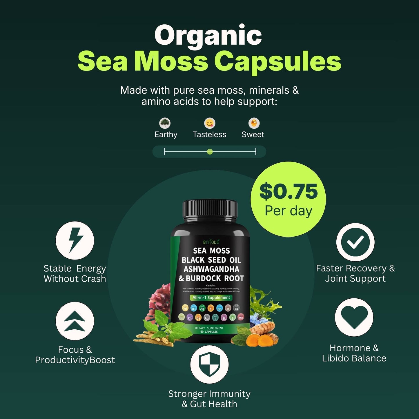 Organic Sea Moss Capsules - Renee Lane Company