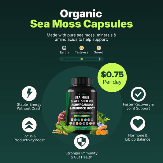 Organic Sea Moss Capsules - Renee Lane Company