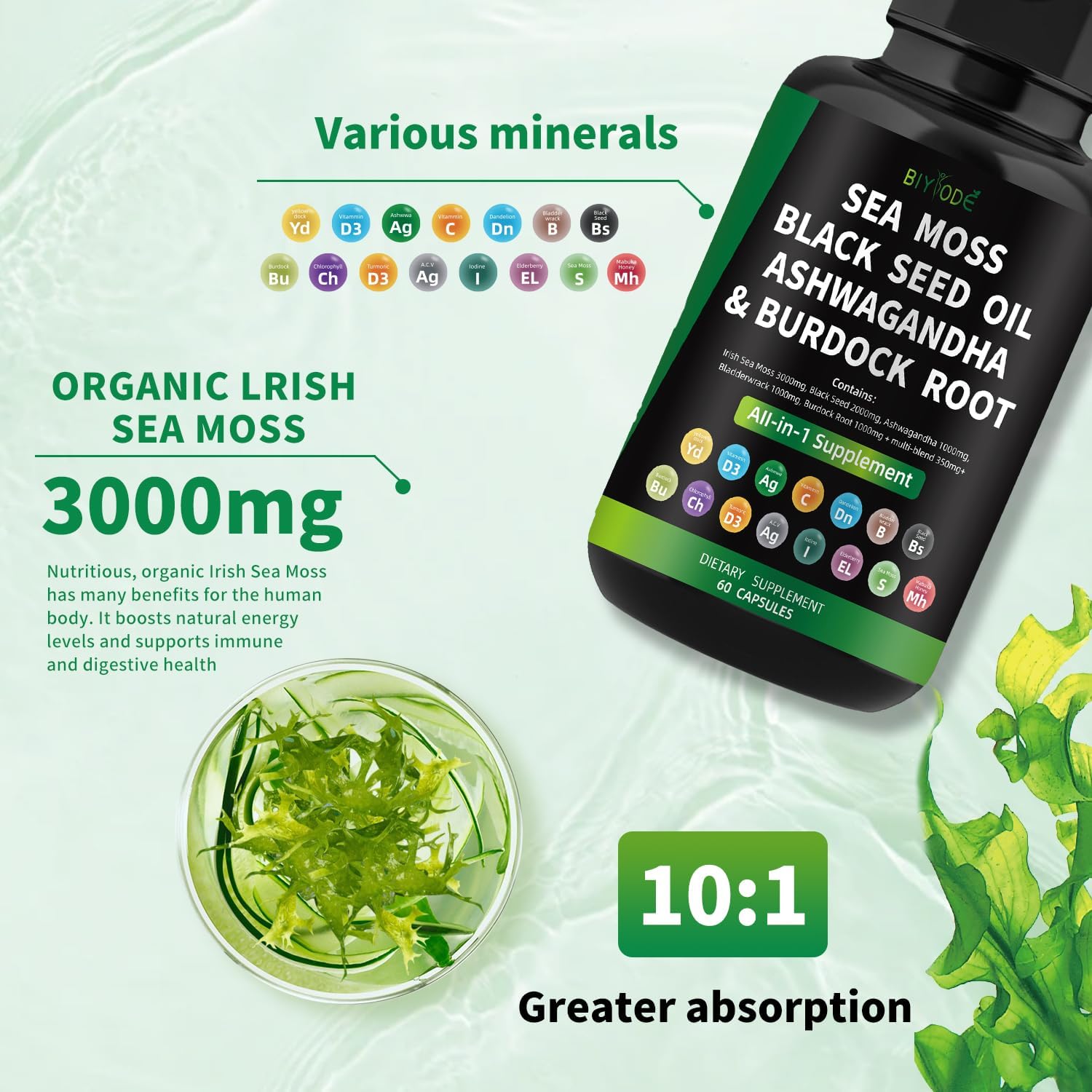 Organic Sea Moss Capsules - Renee Lane Company