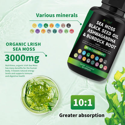 Organic Sea Moss Capsules - Renee Lane Company