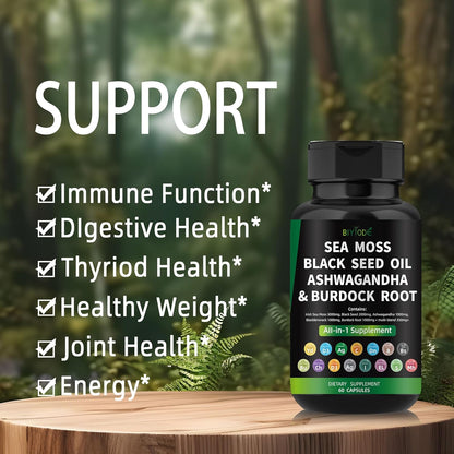 Organic Sea Moss Capsules - Renee Lane Company