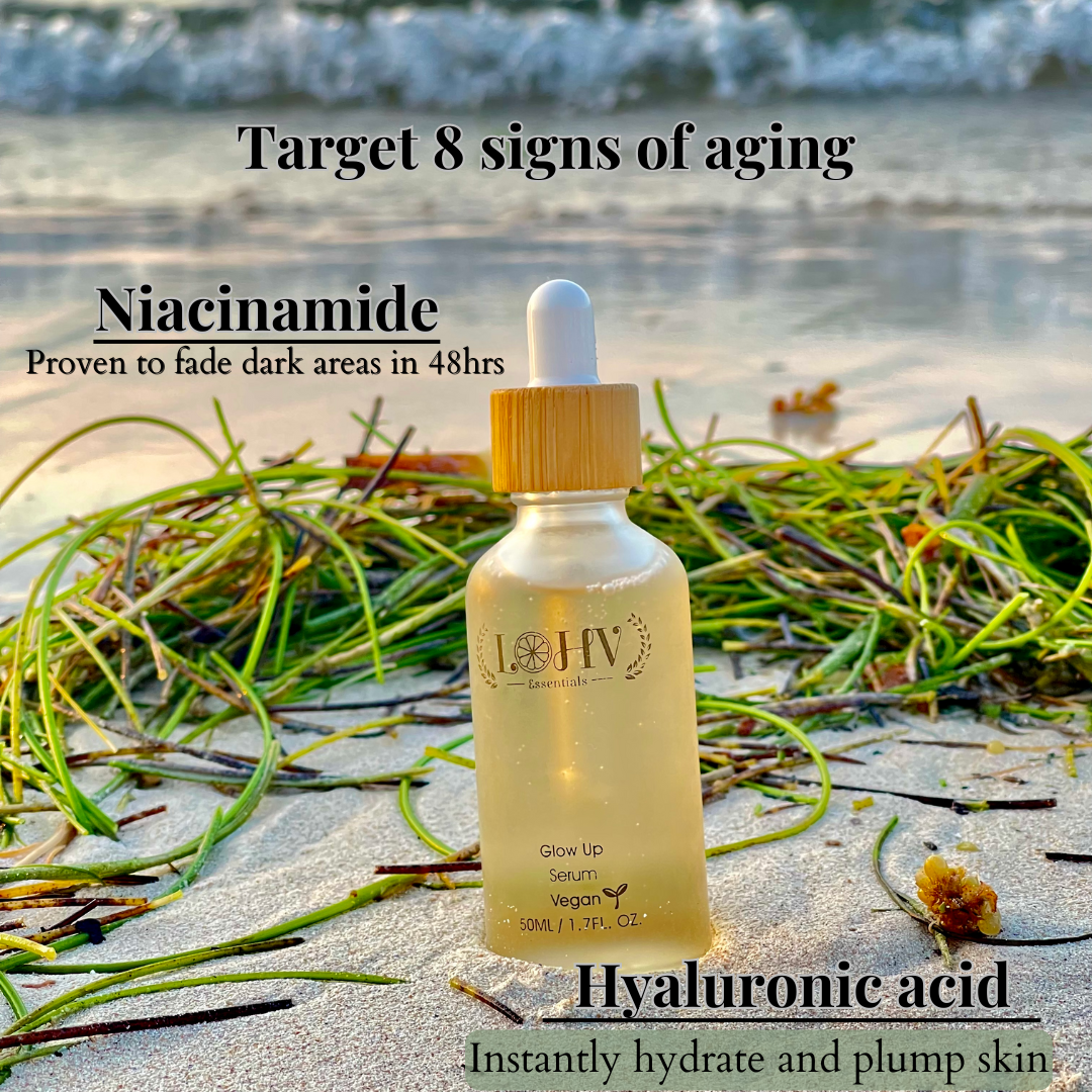 PREMIUM 100% VEGAN GLOW UP Toner Serum With Hyaluronic Acid + Niacinamide + Camellia Leaf + Vitamin E + Rose Water - Renee Lane Company
