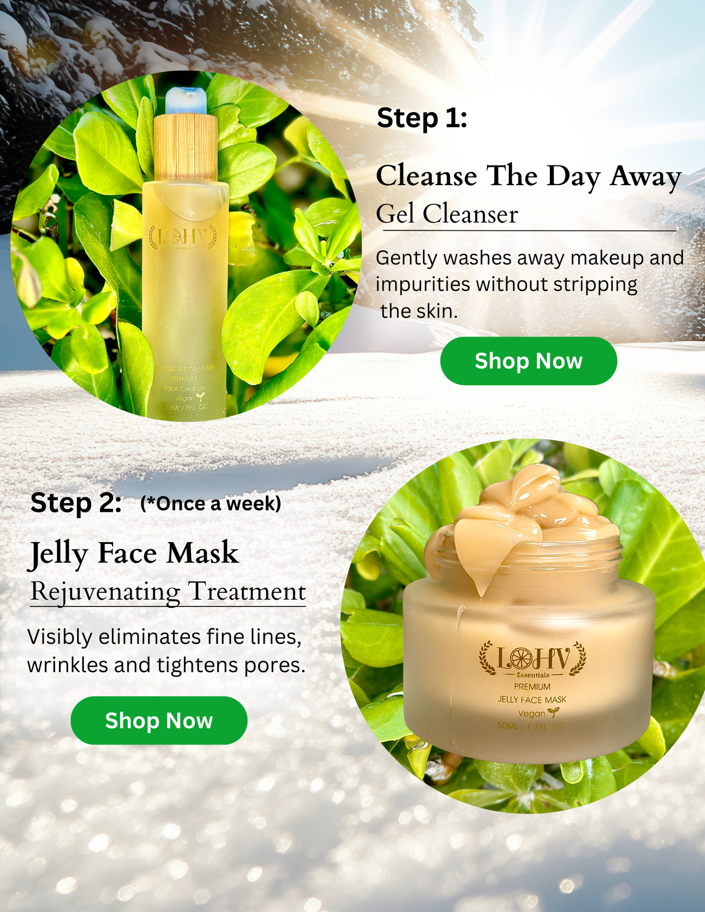 PREMIUM 100% VEGAN GLOW UP Toner Serum With Hyaluronic Acid + Niacinamide + Camellia Leaf + Vitamin E + Rose Water - Renee Lane Company