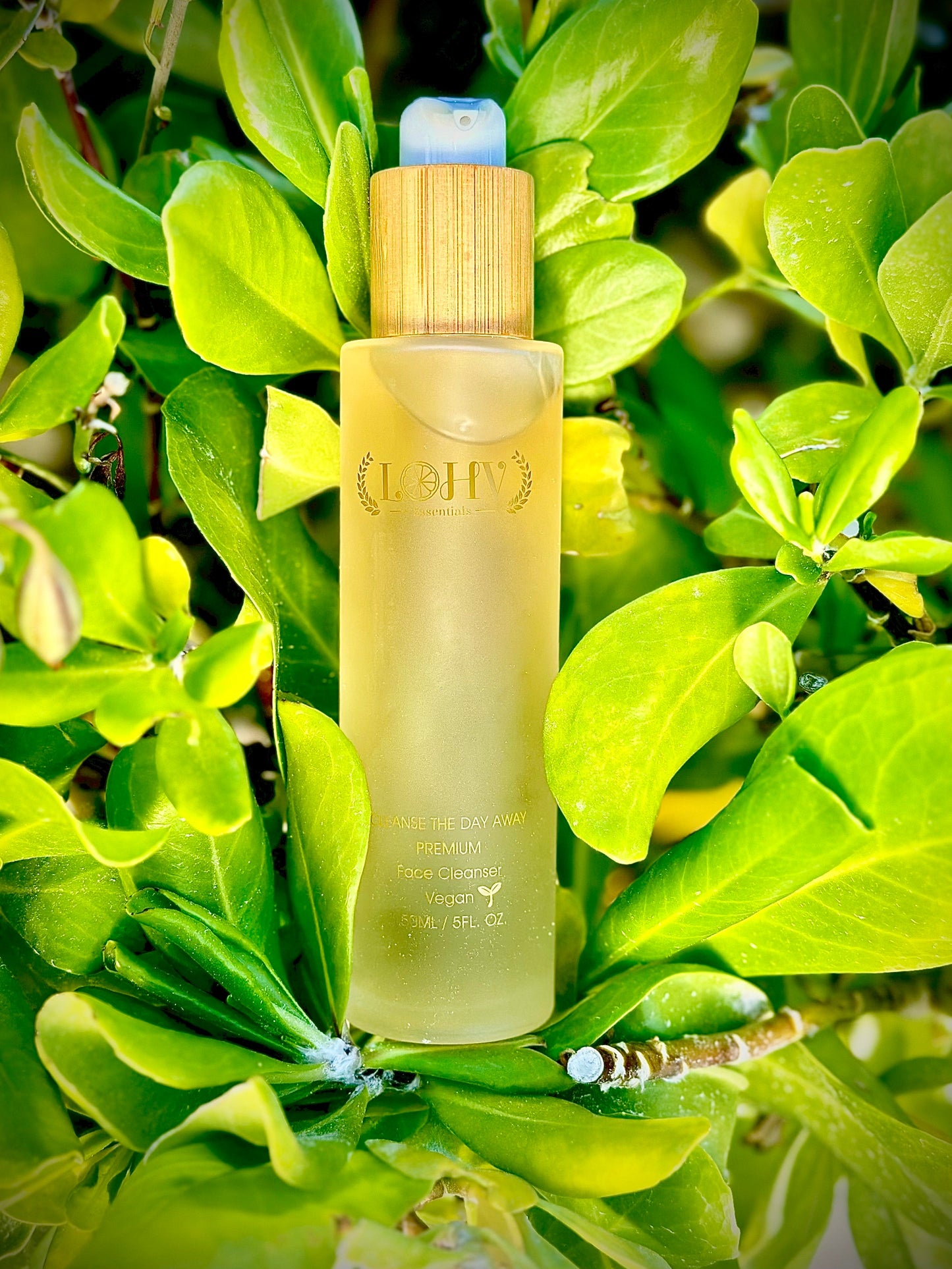 PREMIUM 100% Vegan Hydrating Facial Cleanser, Moisturizing Face Wash For All Skin Types, Hyaluronic Acid + Ginger Water + Lactic acid + Glycolic acid, Fragrance Free & Paraben Free, Non-Drying Oil Control Face Wash. - Renee Lane Company