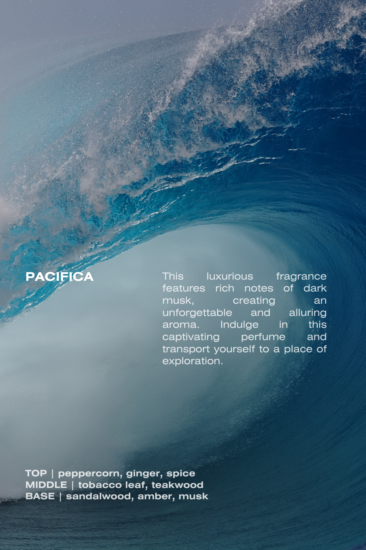 Pacifica Eau De Parfum - Renee Lane Company