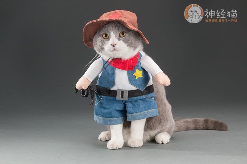 Pet Life 'Rodeo Bones' Cowboy Pet Dog Costume Uniform - Renee Lane Company