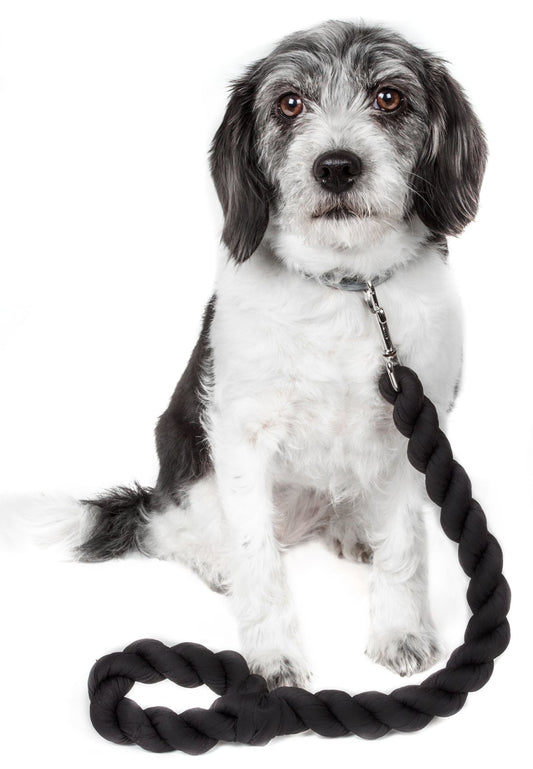 Pet Life Tough-Tugger Industrial-Strength Shock Absorption Woven Dog Leash - Renee Lane Company