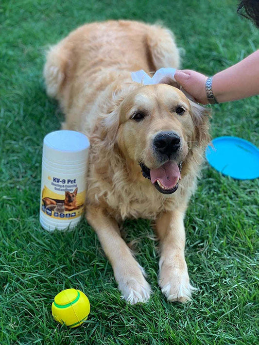 Pet and dog Grooming Cleaning Wipes - Renee Lane Company