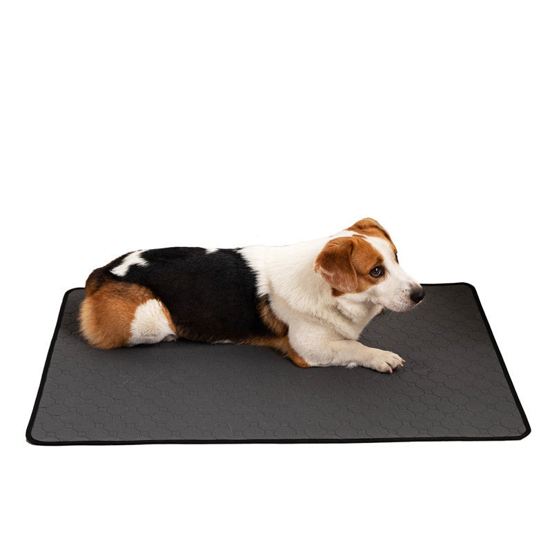 Pets Between The Pad Repeated Water Absorption Dog - Renee Lane Company